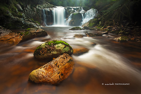 Hall's Falls, Tasmania