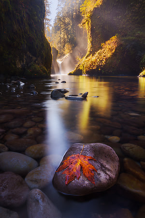 Punchbowl Falls