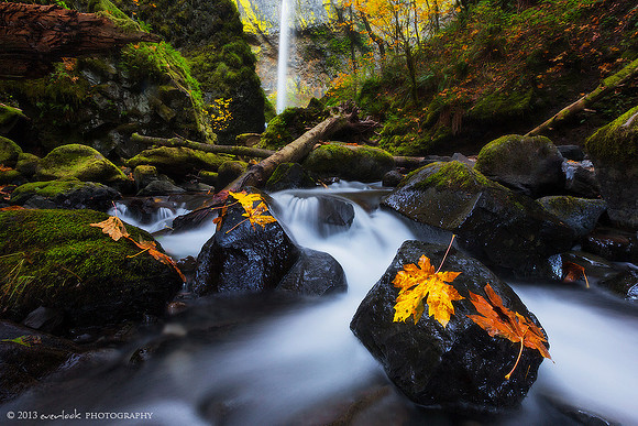 Elowah Falls