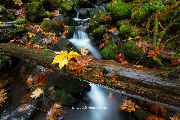 Eagle Creek
