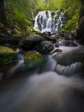 Quaille Falls