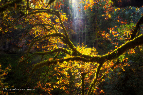 Silver Falls State Park