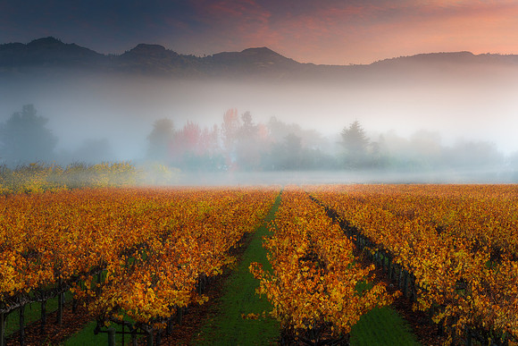 Calistoga