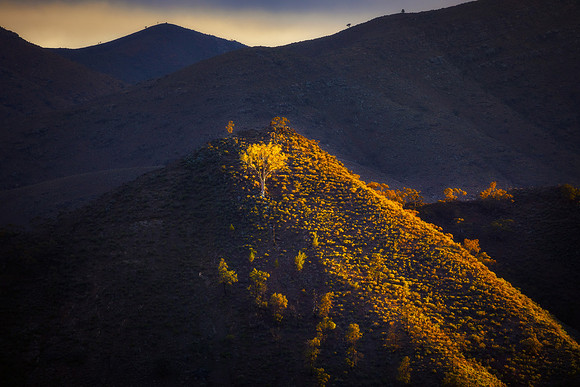 Flinders Ranges