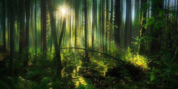 Ecola State Park